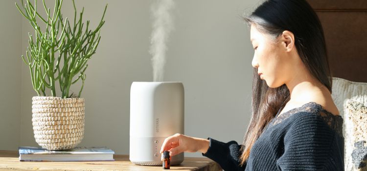 Best Humidifier For Pregnancy