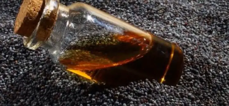 Can I Take Black Seed Oil While Breastfeeding