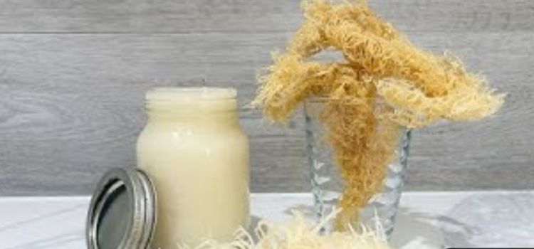 Can I Take Sea Moss While Breastfeeding? Unveiling The Truth!