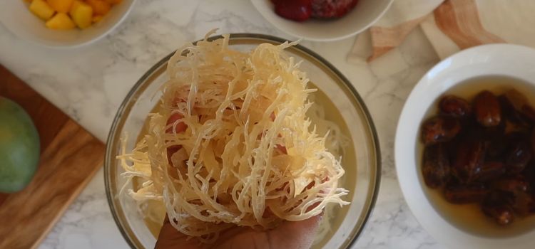 How To Incorporate Sea Moss Into Your Breastfeeding Diet