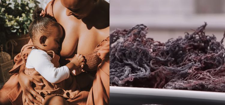 What You Need To Know About Sea Moss And Breastfeeding