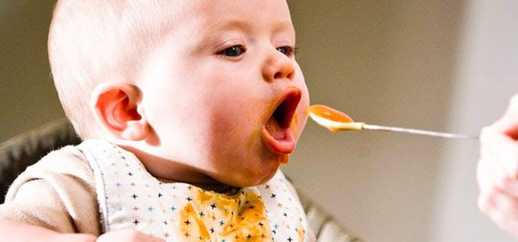 Can I Let My Baby Taste Food At 4 Months? Discover The Truth