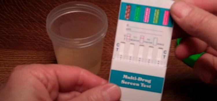 Can a 5 Panel Drug Test Detect Pregnancy