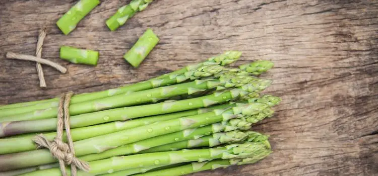 Is Asparagus Safe During Pregnancy