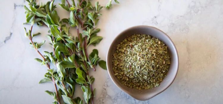 Safe Usage And Precautions For Consuming Oregano During Pregnancy