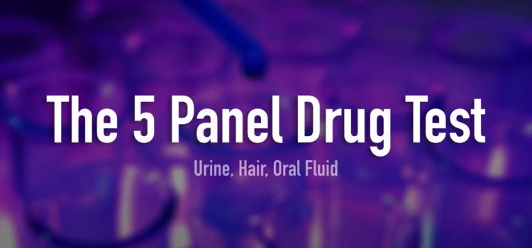 The 5 panel drug test, urine, hair, oral fluid