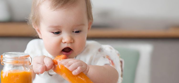 What To Do With Leftover WIC Baby Food ? Some Creative Ideas !